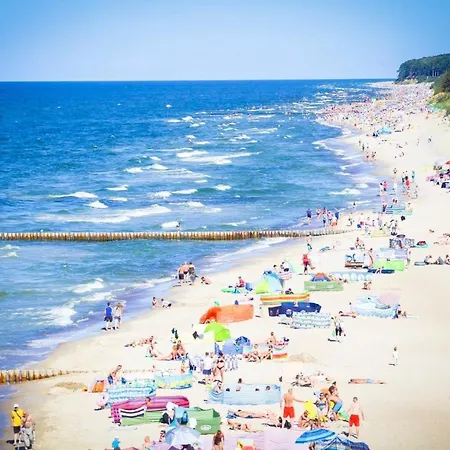 Klifowa 42 아파트 *